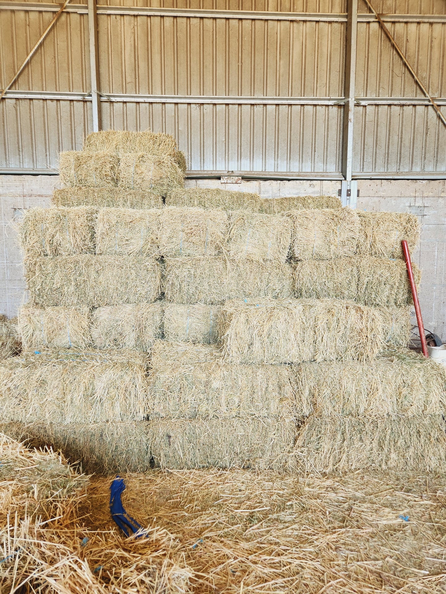 Lucerne Hay - Local Pickup Only