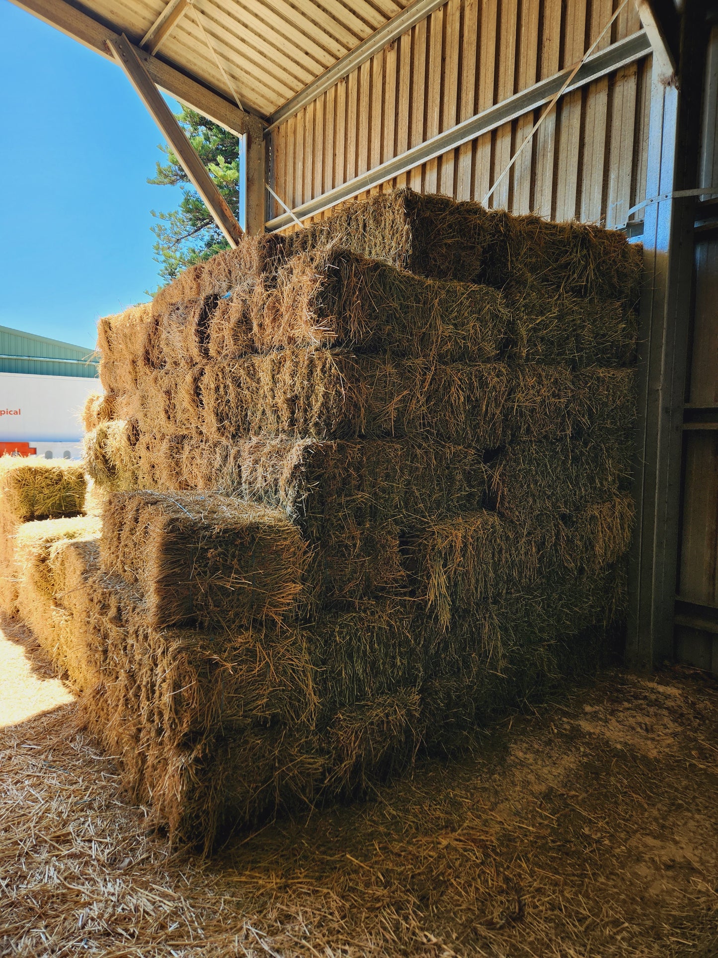 Lucerne Hay - Local Pickup Only